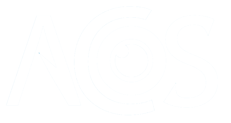 ACS Ltd - Safety & Security